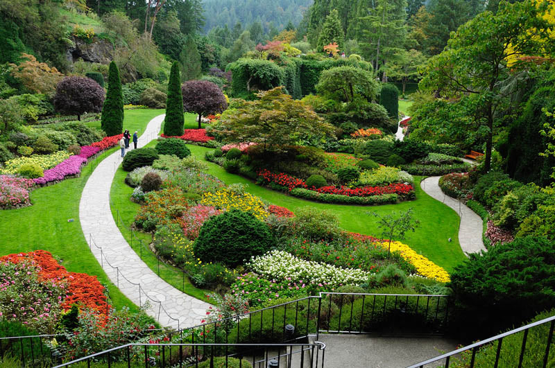 Top 5 Garden Care Tips